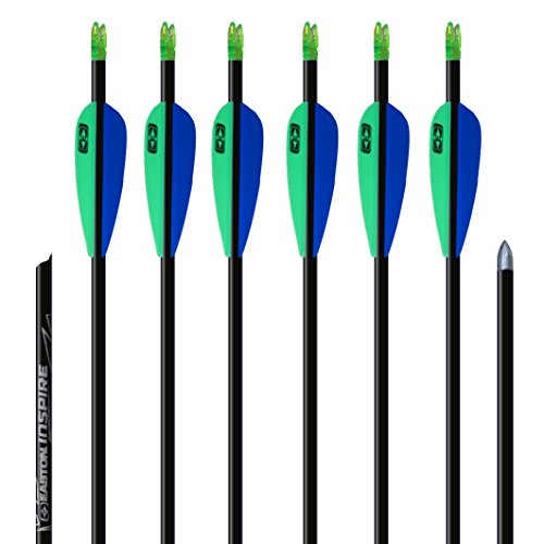 6 flechas de carbono Easton Inspire 630 aprox. 31,5 pulgadas