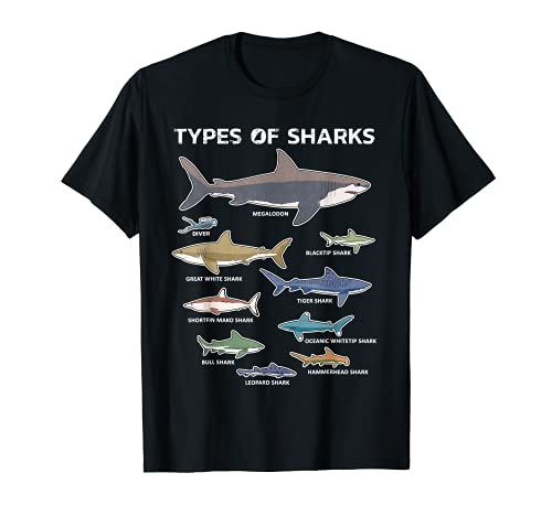 9 Tipos de Tiburones Gráfico Educativo Colorado Ingles Camiseta
