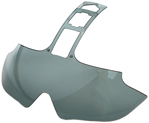 Abus In-Vizz 19539-6 - Gafas para Casco (tamaño M y L), Color Gris