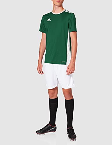 adidas Entrada 18 JSY T-Shirt, Hombre, Collegiate Green/White, L