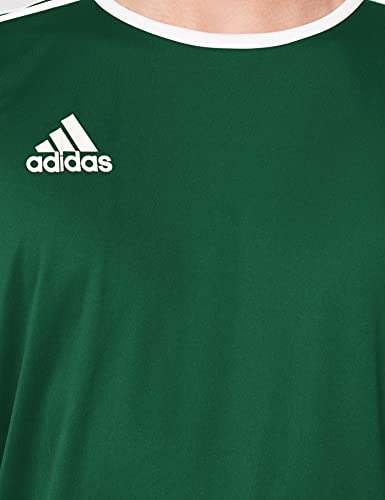 adidas Entrada 18 JSY T-Shirt, Hombre, Collegiate Green/White, L