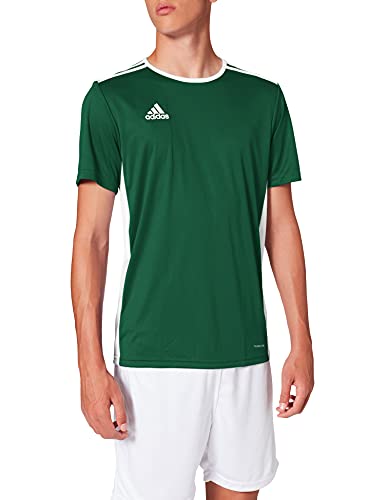 adidas Entrada 18 JSY T-Shirt, Hombre, Collegiate Green/White, L