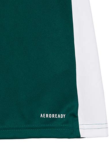 adidas Entrada 18 JSY T-Shirt, Hombre, Collegiate Green/White, M