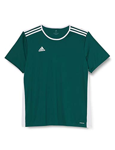 adidas Entrada 18 JSY T-Shirt, Hombre, Collegiate Green/White, M