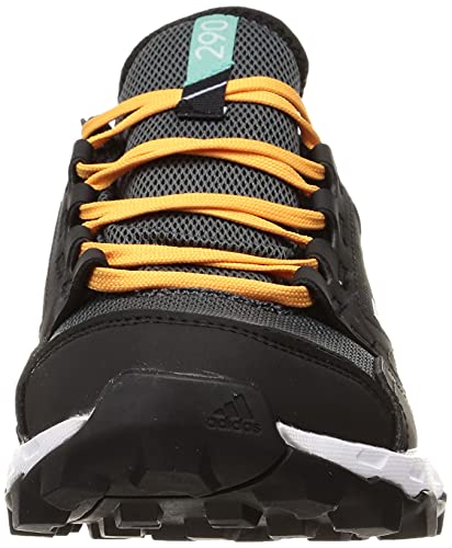 adidas Terrex Agravic TR GTX W, Zapatillas de Trail Running Mujer, NEGBÁS/FTWBLA/NARBRU, 38 2/3 EU