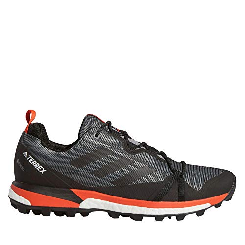 Adidas Terrex Skychaser Lt GTX, Zapatillas de Deporte Hombre, Multicolor (Gritre/Negbás/Naract 000), 42 EU