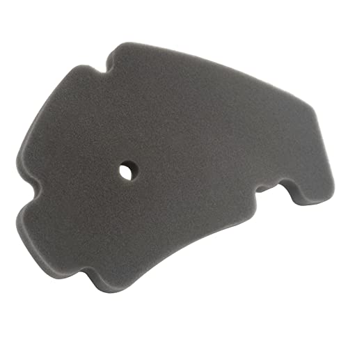 AHL Motocicleta Filtro de Aire compatible con Gilera Nexus 250 2006-2008/Gilera Nexus 250 SP 2006-2007/Gilera Nexus 300 2008-2011/Gilera FUOCO 500 2007-2013/Malaguti Madison 3 125 2006-2009