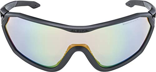 Alpina S-Way L VLMRB Gafas Deportivas, Unisex Adultos, Carbón Mate-Negro, talla única