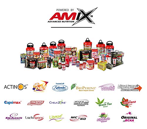 AMIX Recovery Max - 575 gr