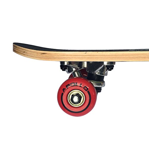 Apollo Kids Skateboard monopatín pequeño para niños