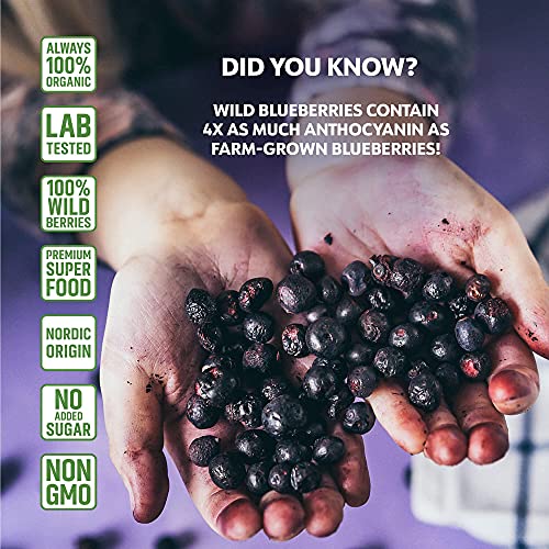 Arándanos Secos Orgánicos Silvestres LOOV, sin azúcar añadido, sin aceite añadido, 113 g, arándanos silvestres liofilizados de bosques nórdicos, 100% fruta entera, no OMG, frutas secas sin azúcar