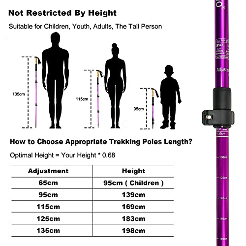 AUTOPkio Bastones de Senderismo, Telescópicos Ultraligeros Aluminio Bastones Marcha Nordica, Bastones Trekking con Sistema Bloqueo Rápido para Camping, Montañismo, Mochilero, Caminar (Púrpura)