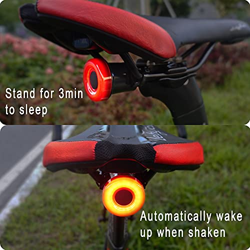 AXYWINBO Luz Trasera de Bicicleta,USB Recargable Impermeables IPX7 Lámpara de Advertencia de Seguridad en 3 Modos Bici Faro Trasero Bici