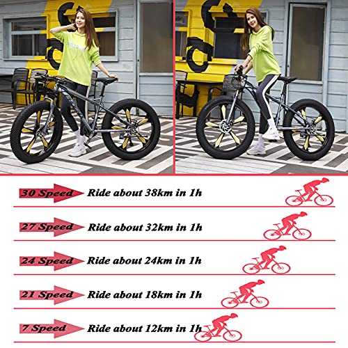 Bicicleta de Montaña Adulto de 24 Pulgadas, Hardtail Bicicleta BTT Enduro para Hombres Mujeres, Acero de Alto Carbono Niña Niño MTB, Freno Disco,Gris,7 Speed