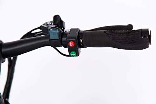 Bicicleta Eléctrica SK Off Road [Regalo Casco y Guantes skateflash] Potencia -250W - Bateria LG Litio 36V 10 Ah - 25 Km de autonomía - Color Negro
