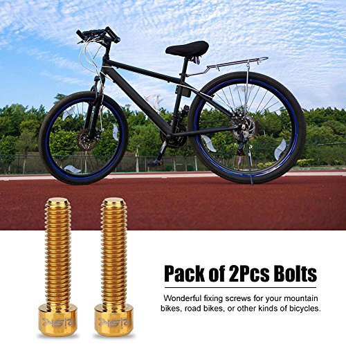 Bnineteenteam Tornillos de aleación de Titanio M6 x 25 mm Tornillos para Pinza de Freno de Disco de Bicicleta de montaña (2 Piezas)(Oro)