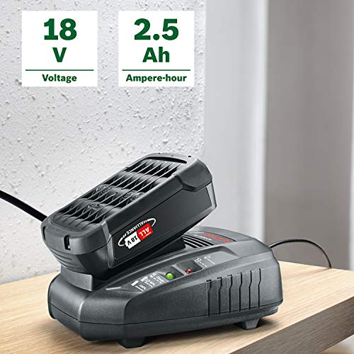 Bosch Home and Garden 1.600.A00.K1P Starter Set con batería, 2.5Ah y Cargador rápido, 18 W, 18 V, 2 Piezas