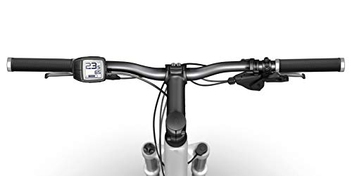 Bosch purion Pantalla con Unidad de Control integrada, Incluye Pantalla Plana y Cable Bicicleta Ordenador, Platinum, One Size