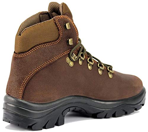 BOTA CHIRUCA POINTER COLOR MARRON GORE-TEX (43)