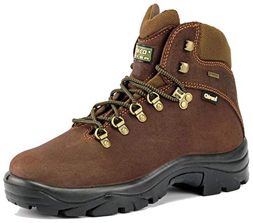 BOTA CHIRUCA POINTER COLOR MARRON GORE-TEX (43)