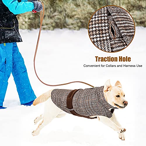 Buddypuppy Abrigos para Perros, Abrigo Perro para Perros medianos y Grandes, cálida Chaqueta Perro de Invierno con Correa Trasera Ajustable, 5XL