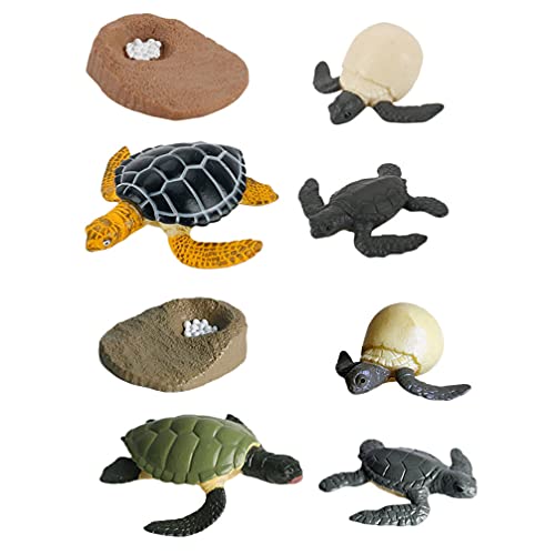 Cabilock 8 Piezas Figuras del Ciclo de Vida de La Tortuga de Mar Juguetes Modelo de Ciencia Figuras Educativos Evolución Juguete Modelo de Etapa de Crecimiento para Niños