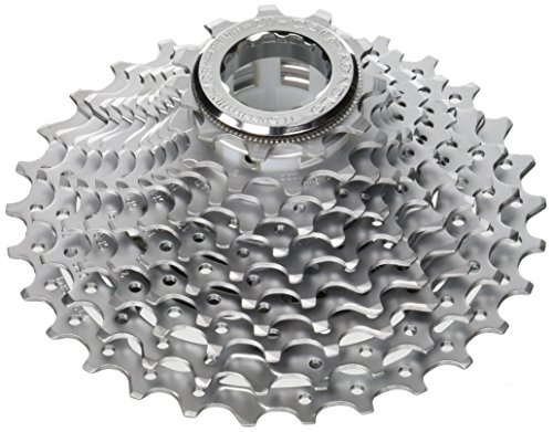 Campagnolo 11S 11-29 Cassettes y piñones, Unisex Adulto, Plata, Talla Única