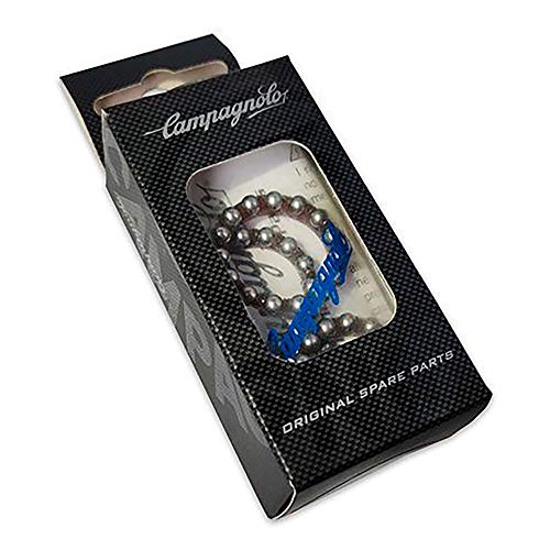 Campagnolo 4 RADIOS CAMPAG CALIMA Trasero DCHO Accesorios Bici, Adultos Unisex, Multicolor (Multicolor), Talla Única