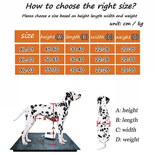 Carritos Silla de Ruedas Remolques para Perros Grande 20-35 KG, Silla Pequeña para Artritis Rehabilitación, Pata Trasera, Mascotas o con Problema de Movilidad/Viejas/Discapacitadas