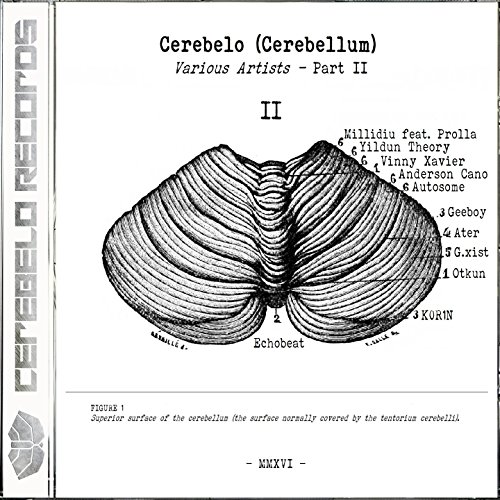 Cerebelo Records 2016, Vol. 2