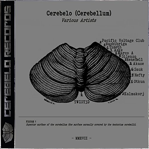 Cerebelo Records 2017 (Cerebellum)