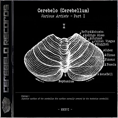 Cerebelo, Vol. 1 (Cerebellum)