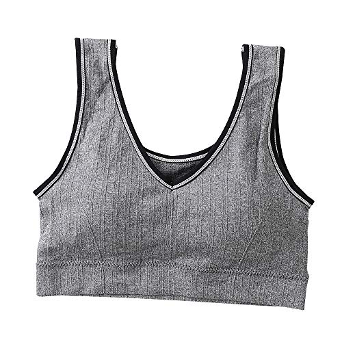 Chaleco de las mujeres Chicas sin costura tubo Top Graphene Yoga Sports Bra, gris oscuro, Talla única