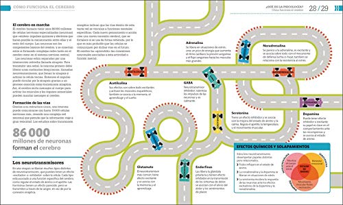 Cómo funciona la psicología: Guía gráfica de psicología aplicada (Conocimiento)