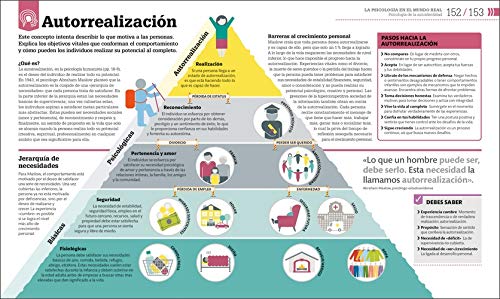 Cómo funciona la psicología: Guía gráfica de psicología aplicada (Conocimiento)