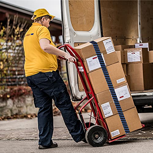 Cuerdas elásticas con Ganchos, 2M Correas elásticas con Ganchos Tensores de Equipaje Juego de 4, Pulpos Elásticos Transporte para Coche, Caravanas, Moto, Maleteros, portaequipajes, Remolques y Lonas