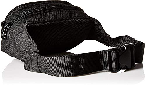 Dakine Classic Hip Pack, riñonera de 2 compartimentos con cremallera, funda para las gafas de sol - Riñonera de talla única, accessorio, unisex