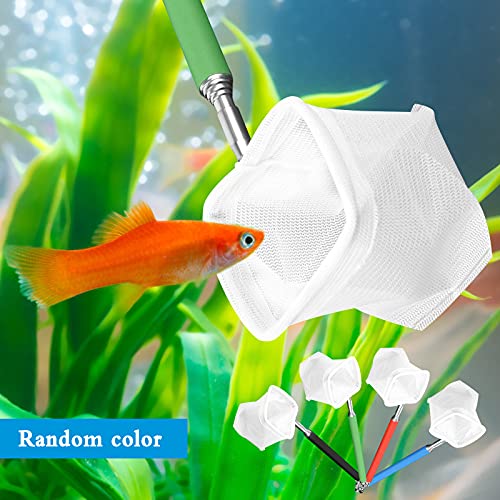 Dasyusuo 2 Pcs Redes de Peces de Acuario Pequeña Red de Acuario con Mango Largo con Mango Extensible de 19-54 cm de Largo,para Pecera Todos los Animales Acuáticos (Aleatorio Color)