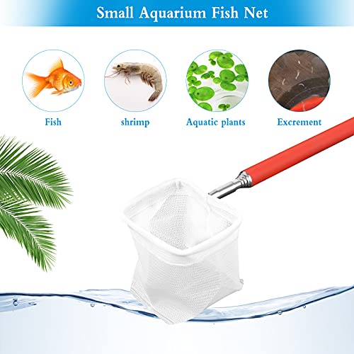 Dasyusuo 2 Pcs Redes de Peces de Acuario Pequeña Red de Acuario con Mango Largo con Mango Extensible de 19-54 cm de Largo,para Pecera Todos los Animales Acuáticos (Aleatorio Color)