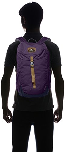 Deuter Walker 16, Mochila Unisex Adulto, Multicolor (Plum/Navy), 24x36x45 cm (W x H x L)