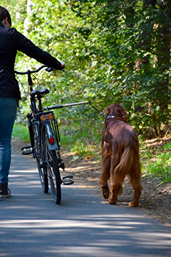 dobar 62000 Walky Dog Plus – Perros Cuerda de Acero Inoxidable con Triple Trasera de Silenciador, Bicicleta Cuerda con Quicklock y Espaciador, 37.5 cm, Acero Inoxidable