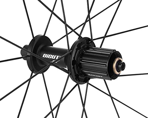 DT Swiss WHDTARC1105R - Pieza para Bicicleta (62 mm, Parte Trasera)