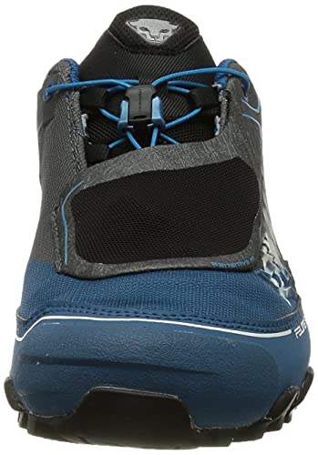 Dynafit Feline SL GTX, Zapatillas de Running Hombre, Carbon/Frost, 43 EU