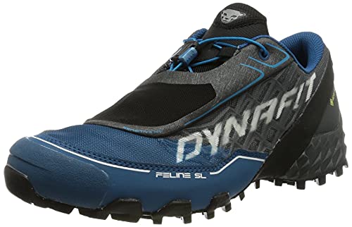 Dynafit Feline SL GTX, Zapatillas de Running Hombre, Carbon/Frost, 43 EU