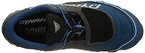 Dynafit Feline SL GTX, Zapatillas de Running Hombre, Carbon/Frost, 43 EU