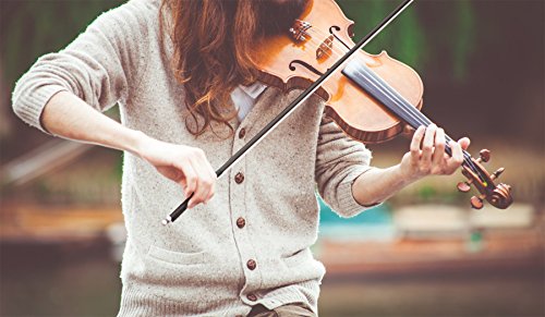 Eastman® ECB-144 Arco de 4/4 Violín en Carbón (Violin Bow 4/4)