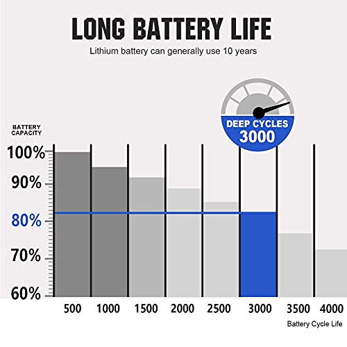 ECO-WORTHY 8Ah 12V Batería de Litio LiFePO4 Ciclo Profundo 3000 Veces Recargable fosfato de Litio y Hierro con BMS para Coche de Niños,Stock de Energía Solar,Alarma Sistema, Aplicación Fuera de la Red