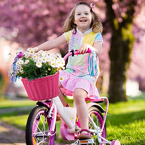 EIRONA Cesta de bicicleta para niños 12 14 16 bicicleta para niños, cesta de bicicleta para scooter, triciclo, accesorios para bicicletas para niños y niñas, rosa