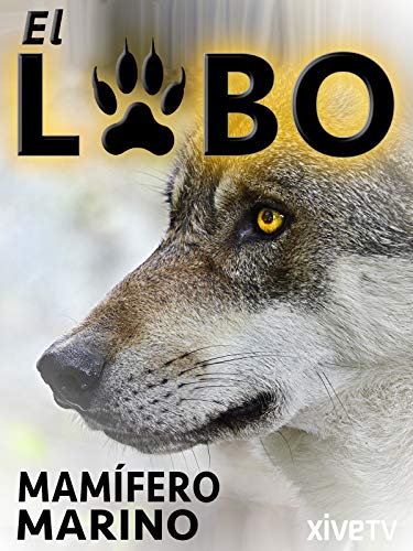 El Lobo: Mamífero Marino