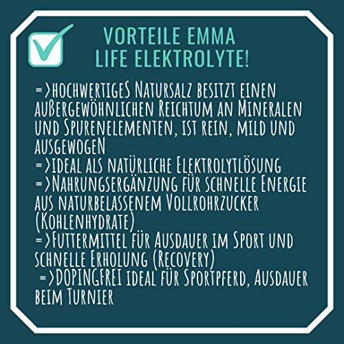 EMMA ♥ electrolitos Naturales para Caballos, sin dopaje I alimentación energética I Suplementos I minerales Naturales y aminoácidos I Caballos de Deporte y competición I 700 g